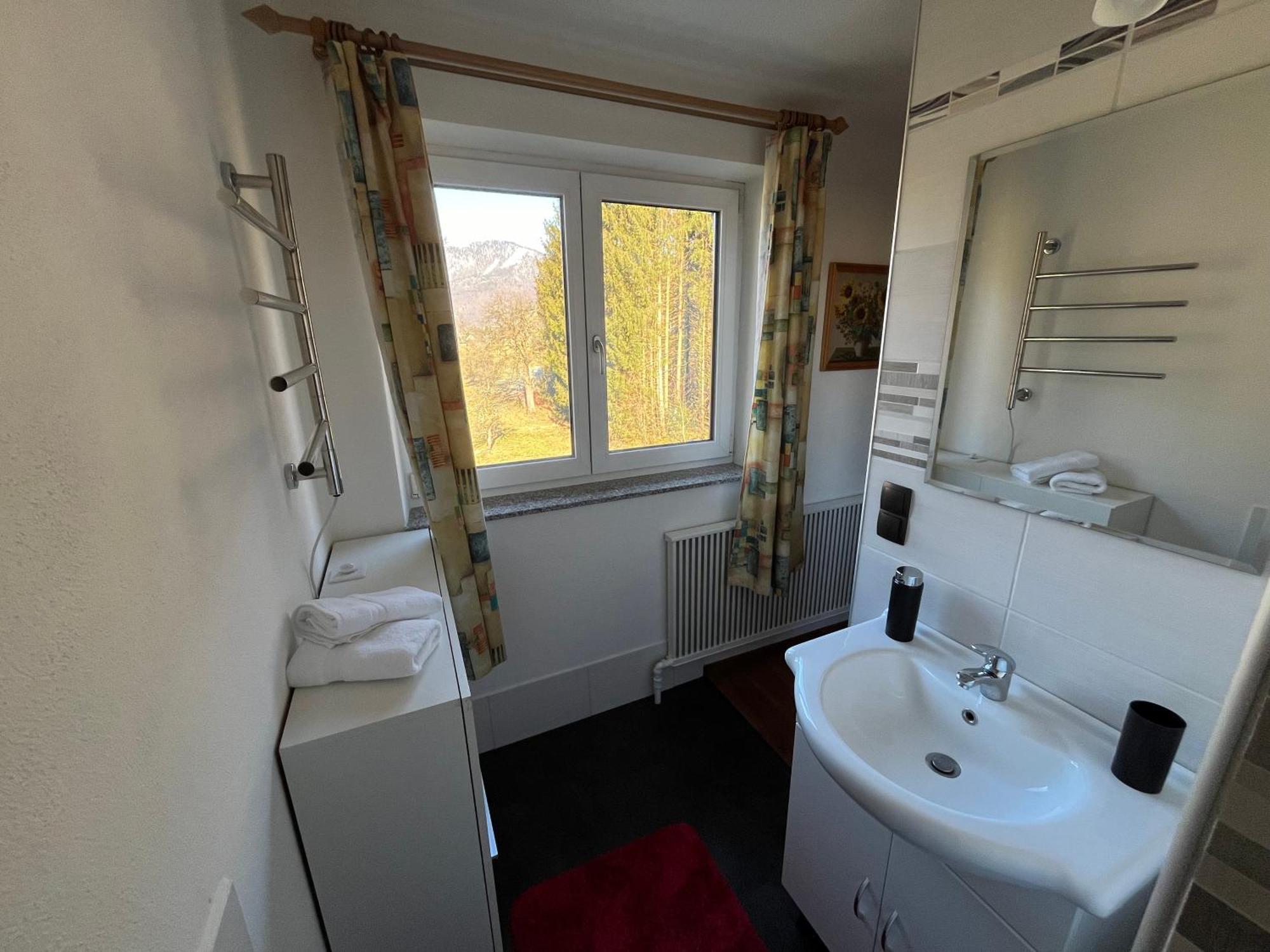 Ferienwohnung Am Stambach Бад Гойзерн Екстериор снимка
